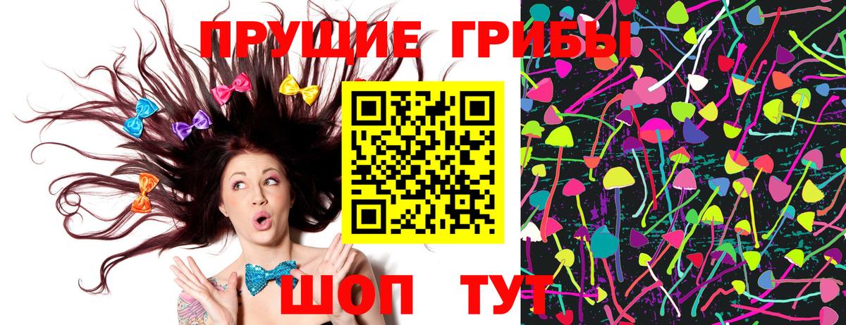 Ижевск  что такое   Вход с VPN  Псилоцибиновые грибы Psilocybine cubensis 